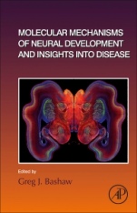 Molecular Mechanisms of Neural Development and Insights into Disease - ISBN 9780128152812