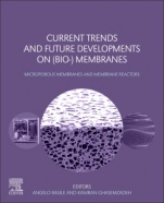 Current Trends and Future Developments on (Bio-) Membranes: Microporous Membranes and Membrane Reactors - ISBN 9780128163504