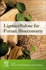 Lignocellulose for Future Bioeconomy - ISBN 9780128163542