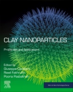 Clay Nanoparticles: Properties and Applications - ISBN 9780128167830