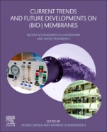 Current Trends and Future Developments on (Bio-) Membranes: Recent Achievements in Wastewater and Water Treatments - ISBN 9780128173787