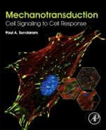 Mechanotransduction: Cell Signaling to Cell Response - ISBN 9780128178829