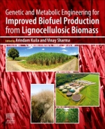 Genetic and Metabolic Engineering for Improved Biofuel Production from Lignocellulosic Biomass - ISBN 9780128179536