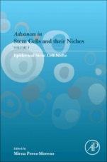 Epidermal Stem Cell Niche - ISBN 9780128184462