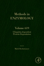 Ubiquitin-dependent Protein Degradation - ISBN 9780128186671