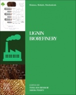 Biomass, Biofuels, Biochemicals: Lignin Biorefinery - ISBN 9780128202944