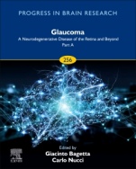 Glaucoma: A Neurodegenerative Disease of the Retina and Beyond: Part A - ISBN 9780128211069