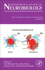 Novel Therapeutic Advances in Glioblastoma - ISBN 9780128211144