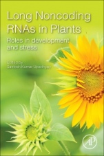 Long Noncoding RNAs in Plants: Roles in Development and Stress - ISBN 9780128214527