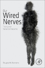 Our Wired Nerves: The Human Nerve Connectome - ISBN 9780128214879