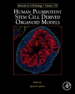 Human Pluripotent Stem Cell Derived Organoid Models - ISBN 9780128215319