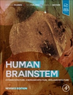 Human Brainstem: Cytoarchitecture, Chemoarchitecture, Myeloarchitecture - ISBN 9780128216071