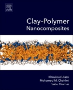 Clay-Polymer Nanocomposites - ISBN 9780323461535