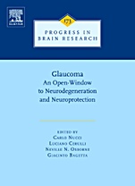 Glaucoma: An Open-Window to Neurodegeneration and Neuroprotection - ISBN 9780444532565