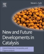New and Future Developments in Catalysis: Hybrid Materials, Composites, and Organocatalysts - ISBN 9780444538765