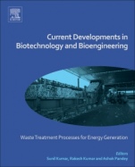 Current Developments in Biotechnology and Bioengineering: Waste Treatment Processes for Energy Generation - ISBN 9780444640833