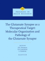 The Glutamate Synapse as a Therapeutic Target - ISBN 9780444827548