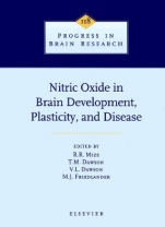 Nitric Oxide in Brain Development, Plasticity, and Disease - ISBN 9780444828859