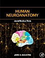 Human Neuroanatomy - ISBN 9780120682515