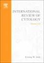 International Review of Cytology - ISBN 9780123646187