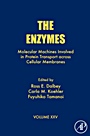 The Enzymes: Molecular Machines Involved in Protein Transport across Cellular Membranes - ISBN 9780123739162