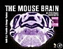 The Mouse Brain in Stereotaxic Coordinates, Compact: The Coronal Plates and Diagrams - ISBN 9780123742445