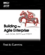 Building the Agile Enterprise: With SOA, BPM and MBM - ISBN 9780123744456