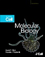 Molecular Biology - ISBN 9780123785947