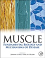 Muscle 2-Volume Set: Fundamental Biology and Mechanisms of Disease - ISBN 9780123815101