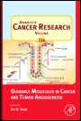 Guidance Molecules in Cancer and Tumor Angiogenesis - ISBN 9780123865038