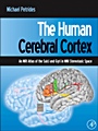 The Human Cerebral Cortex: An MRI Atlas of the Sulci and Gyri in MNI Stereotaxic Space - ISBN 9780123869388