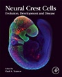 Neural Crest Cells: Evolution, Development and Disease - ISBN 9780124017306