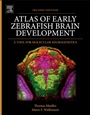Atlas of Early Zebrafish Brain Development: A Tool for Molecular Neurogenetics - ISBN 9780124186699