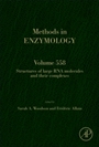 Structures of Large RNA Molecules and Their Complexes - ISBN 9780128019344