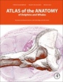 Atlas of the Anatomy of Dolphins and Whales - ISBN 9780128024461