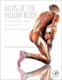 Atlas of the Human Body: Central Nervous System and Vascularization - ISBN 9780128094105