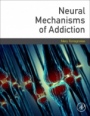Neural Mechanisms of Addiction - ISBN 9780128122020
