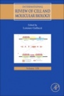 International Review of Cell and Molecular Biology - ISBN 9780128122204