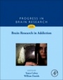 Brain Research in Addiction - ISBN 9780128135013