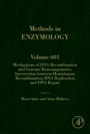 Mechanisms of DNA Recombination and Genome Rearrangements: Intersection Between Homologous Recombination, DNA Replication and DNA Repair - ISBN 9780128139790