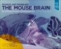 Paxinos and Franklins the Mouse Brain in Stereotaxic Coordinates - ISBN 9780128161579