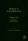 Enzymatic Polymerizations - ISBN 9780128170953