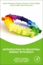Introduction to Industrial Energy Efficiency: Energy Auditing, Energy Management, and Policy Issues - ISBN 9780128172476