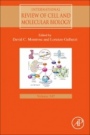 Cellular Nutrient Utilization and Cancer - ISBN 9780128184066
