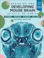 Atlas of the Developing Mouse Brain - ISBN 9780128185438