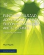 Fundamentals and Applications of Nano Silicon in Plasmonics and Fullerines: Current and Future Trends - ISBN 9780323480574