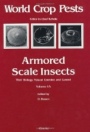 Armored Scale Insects - ISBN 9780444428547
