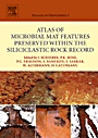 Atlas of Microbial Mat Features Preserved within the Siliciclastic Rock Record - ISBN 9780444528599