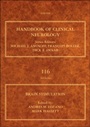 Brain Stimulation - ISBN 9780444534972