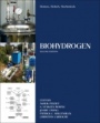 Biomass, Biofuels, Biochemicals: Biohydrogen - ISBN 9780444642035